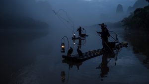 Nachtvissen in Nederland: let op stekdruk en regels per water